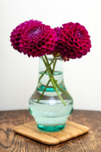 bouquet de dahlias boules en vase