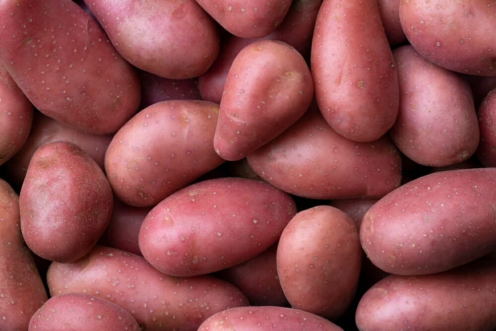 Pommes de terre roseval