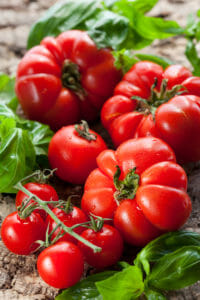 Tomates de différentes variétés